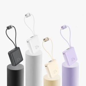 Power Bank Charger